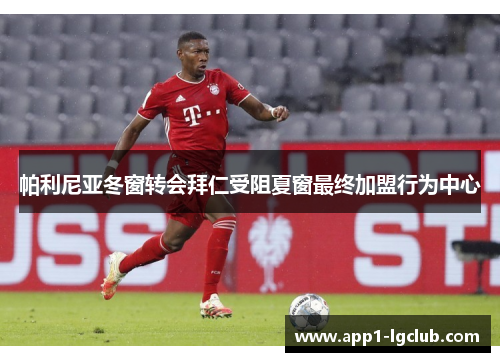 帕利尼亚冬窗转会拜仁受阻夏窗最终加盟行为中心 帕利尼亚冬窗转会拜仁受阻夏窗最终加盟行为中心